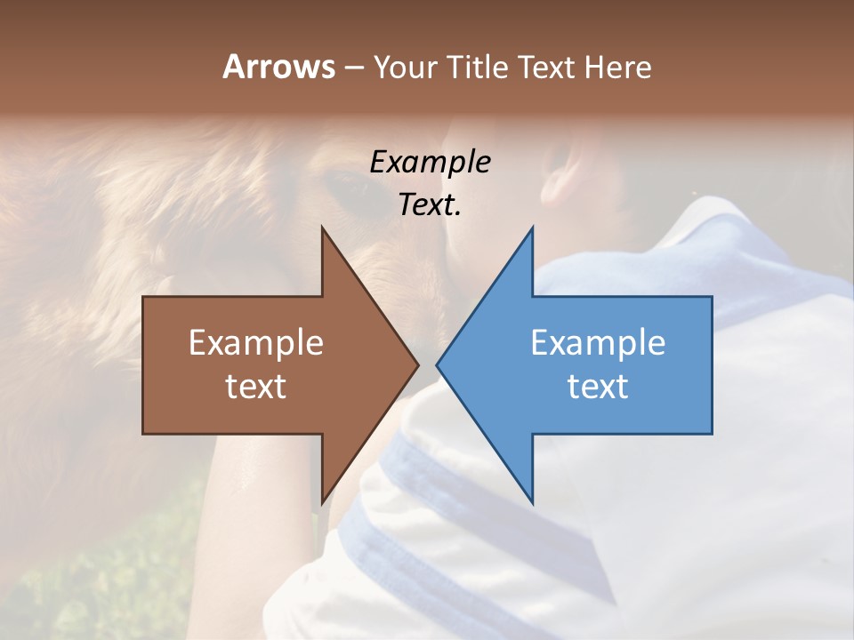 Caucasian Eye Fur PowerPoint Template