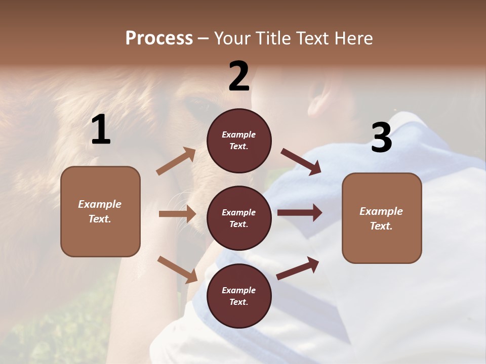 Caucasian Eye Fur PowerPoint Template