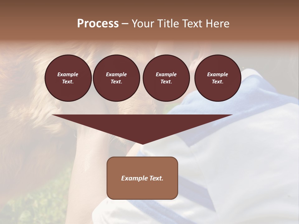 Caucasian Eye Fur PowerPoint Template