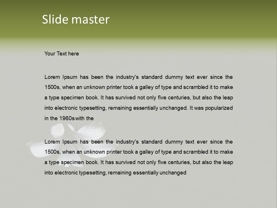 A White Flower Sitting On Top Of A Black Surface PowerPoint Template