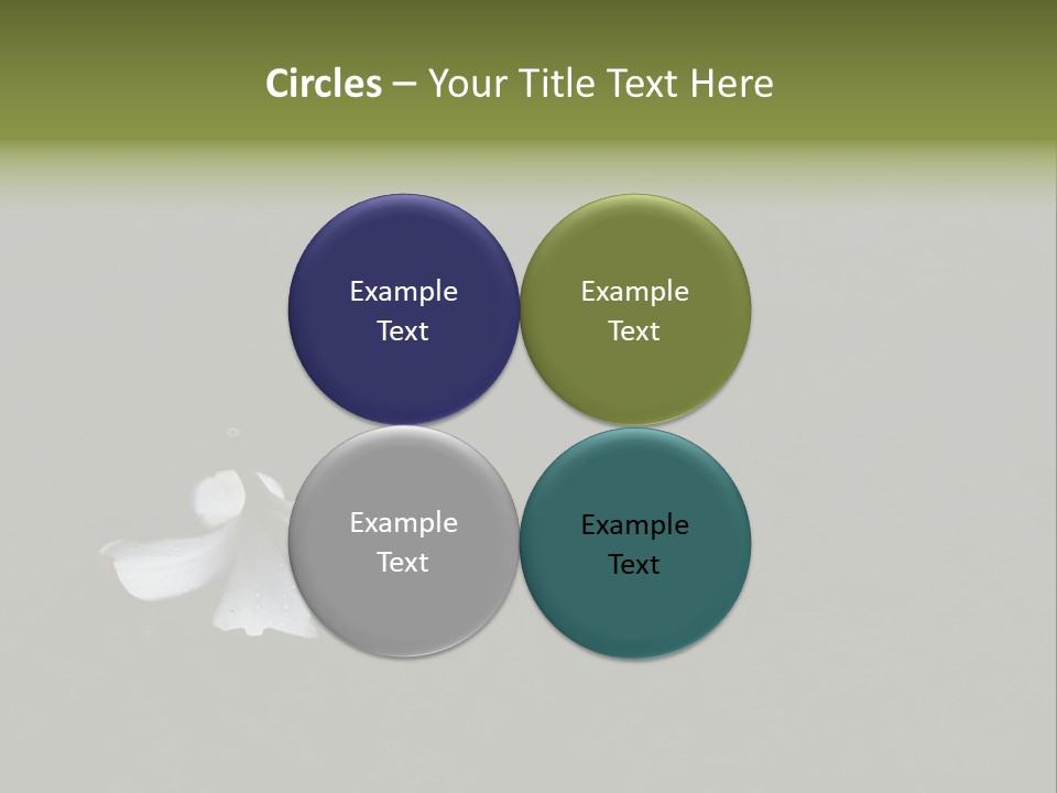 A White Flower Sitting On Top Of A Black Surface PowerPoint Template