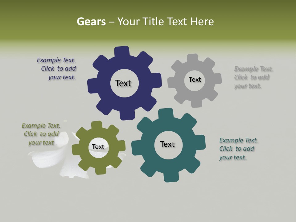 A White Flower Sitting On Top Of A Black Surface PowerPoint Template