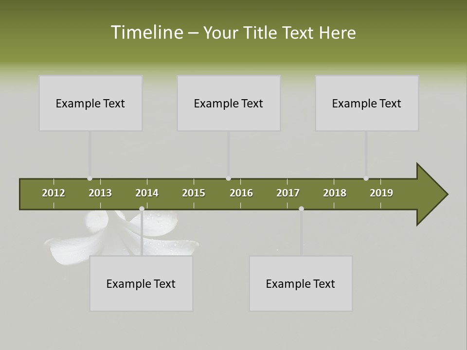 A White Flower Sitting On Top Of A Black Surface PowerPoint Template