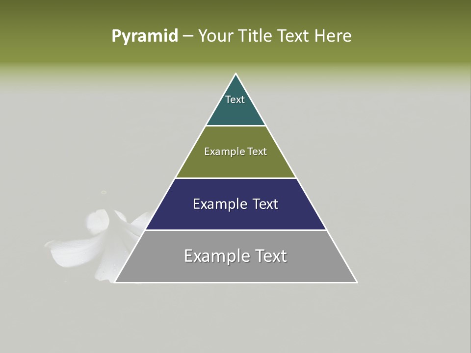 A White Flower Sitting On Top Of A Black Surface PowerPoint Template