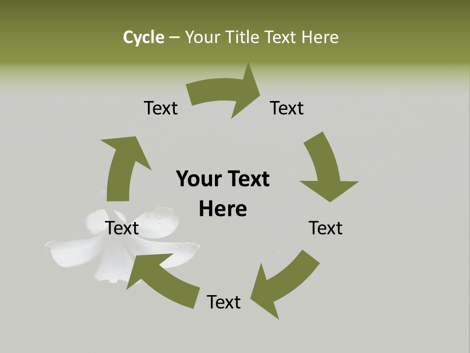 A White Flower Sitting On Top Of A Black Surface PowerPoint Template