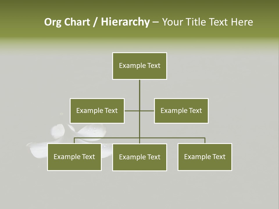 A White Flower Sitting On Top Of A Black Surface PowerPoint Template