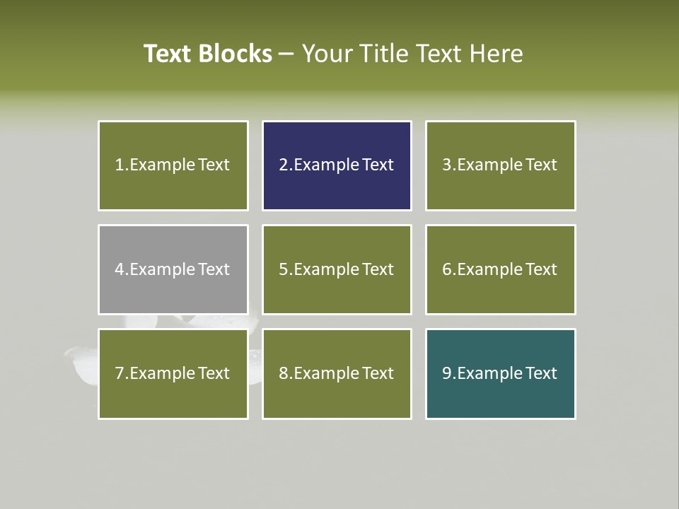 A White Flower Sitting On Top Of A Black Surface PowerPoint Template