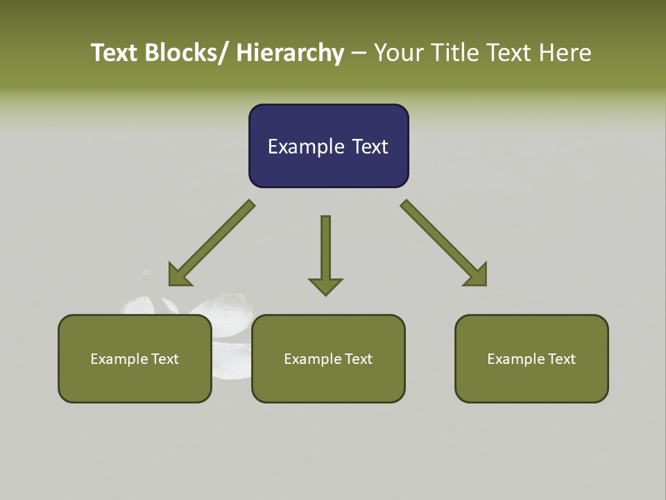 A White Flower Sitting On Top Of A Black Surface PowerPoint Template