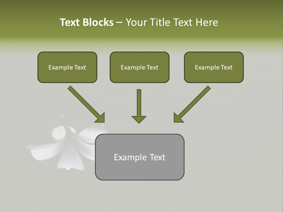 A White Flower Sitting On Top Of A Black Surface PowerPoint Template