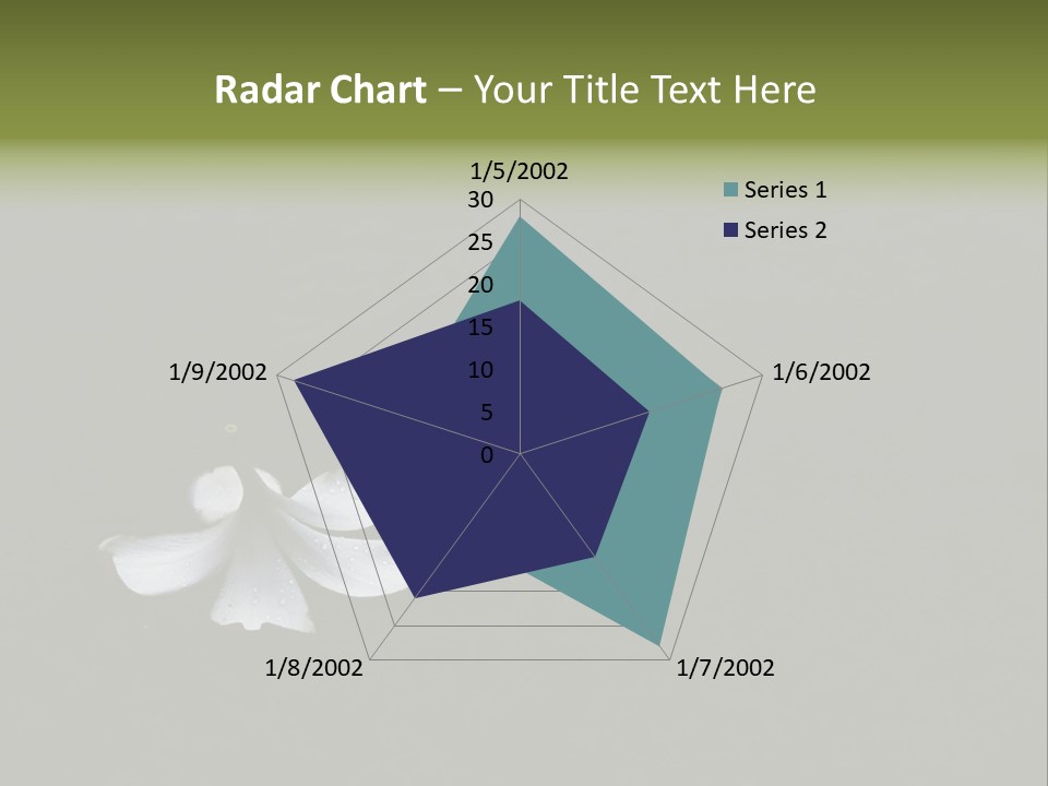 A White Flower Sitting On Top Of A Black Surface PowerPoint Template