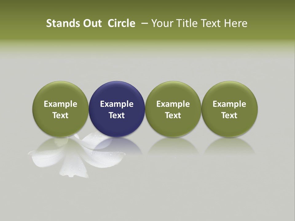 A White Flower Sitting On Top Of A Black Surface PowerPoint Template