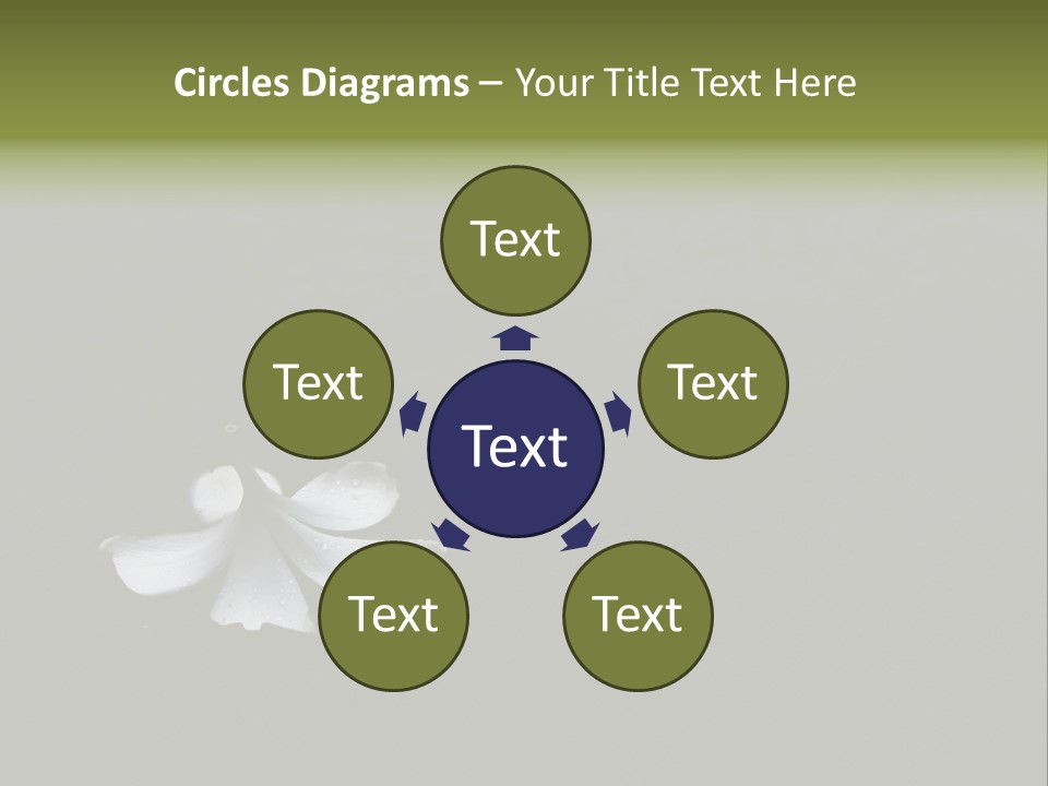 A White Flower Sitting On Top Of A Black Surface PowerPoint Template