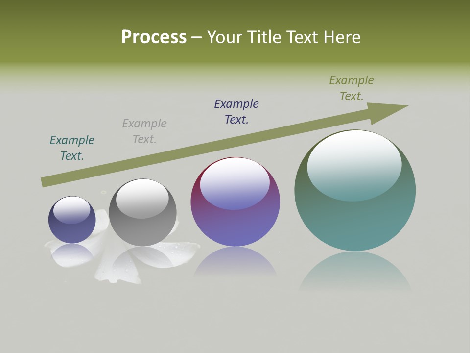 A White Flower Sitting On Top Of A Black Surface PowerPoint Template