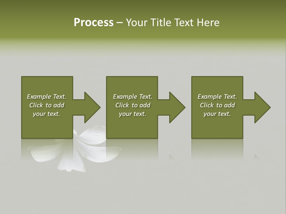 A White Flower Sitting On Top Of A Black Surface PowerPoint Template