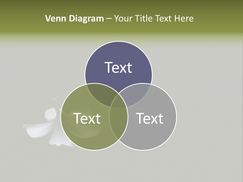 A White Flower Sitting On Top Of A Black Surface PowerPoint Template