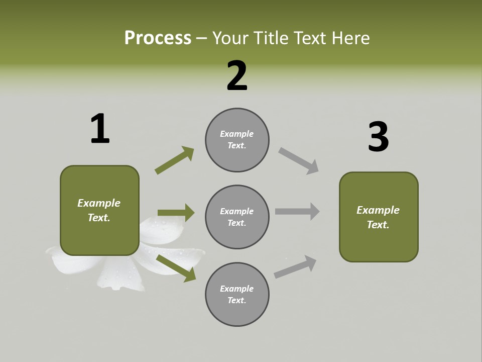 A White Flower Sitting On Top Of A Black Surface PowerPoint Template