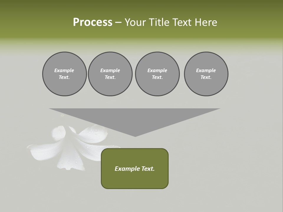 A White Flower Sitting On Top Of A Black Surface PowerPoint Template