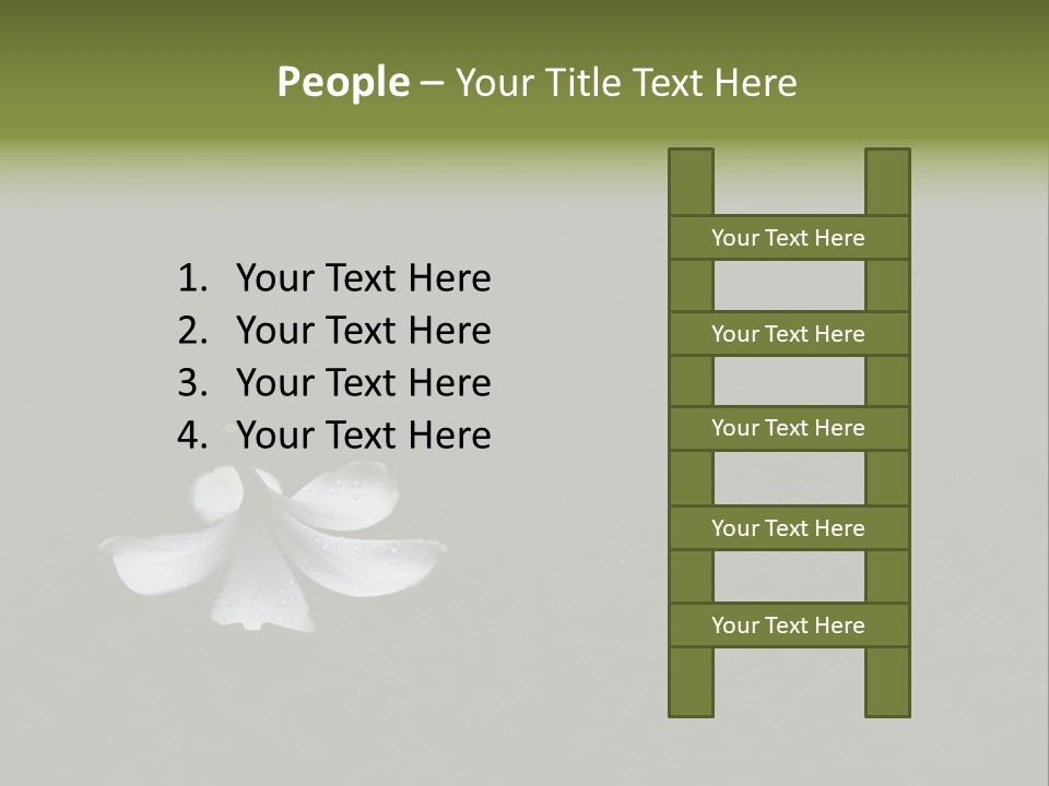 A White Flower Sitting On Top Of A Black Surface PowerPoint Template