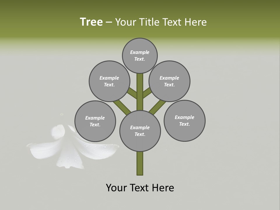 A White Flower Sitting On Top Of A Black Surface PowerPoint Template