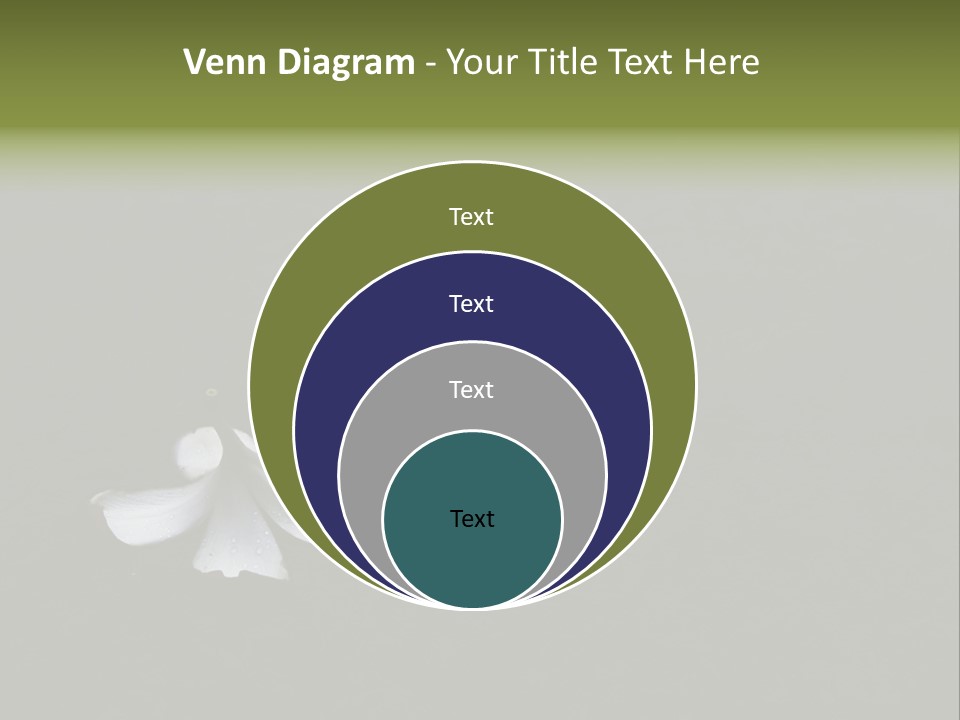 A White Flower Sitting On Top Of A Black Surface PowerPoint Template