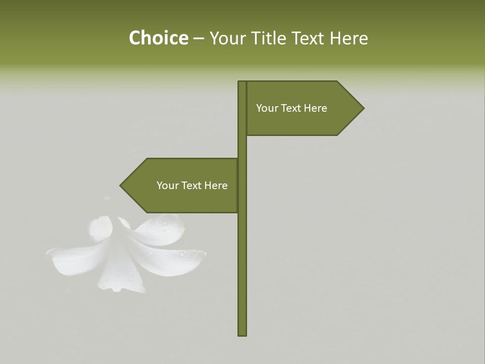 A White Flower Sitting On Top Of A Black Surface PowerPoint Template