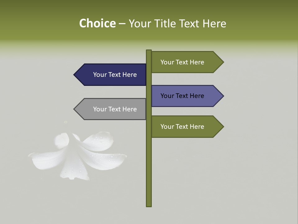 A White Flower Sitting On Top Of A Black Surface PowerPoint Template