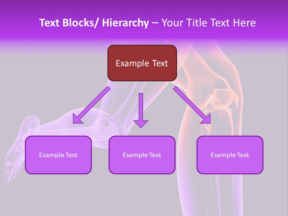 A 3D Image Of A Person's Leg With The Word Name Of Presentation On PowerPoint Template