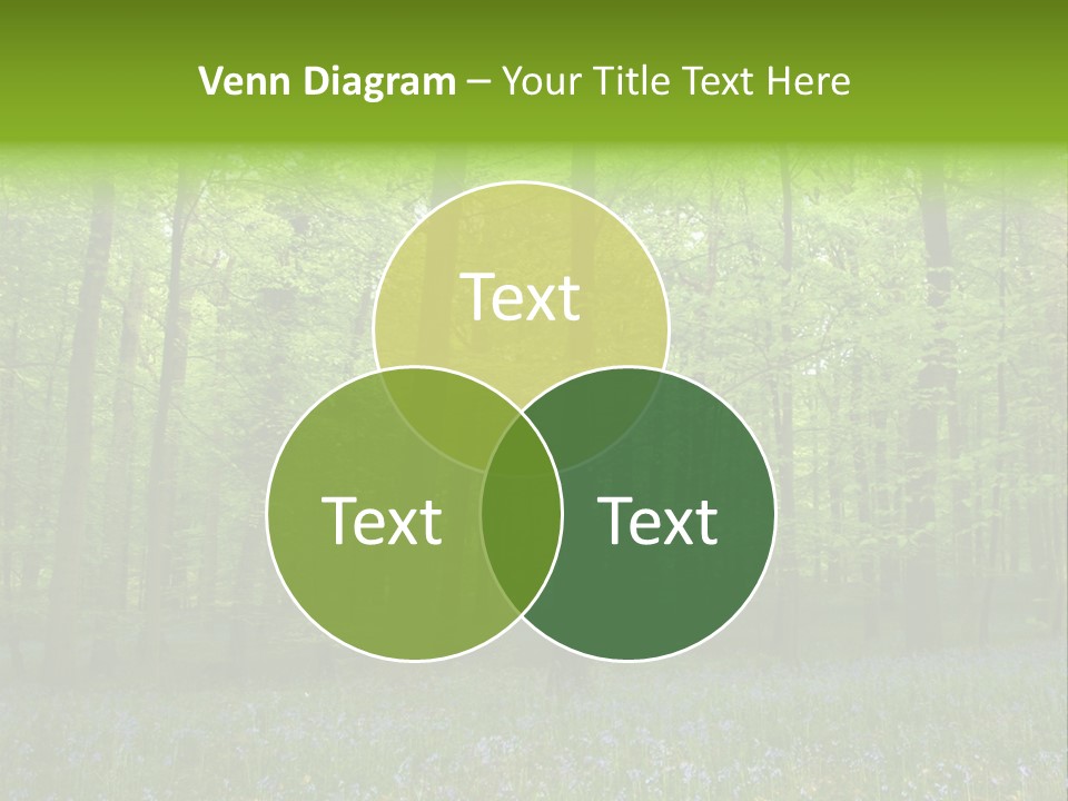 Renewable Progress Nowaday PowerPoint Template