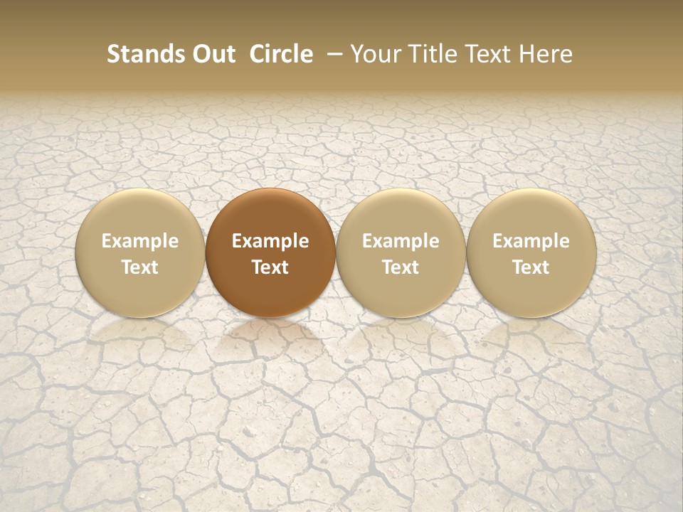 Salt Dying Barren PowerPoint Template