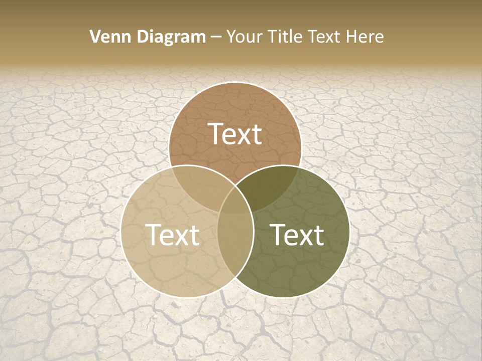 Salt Dying Barren PowerPoint Template