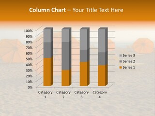 Relaxation Sand Places PowerPoint Template