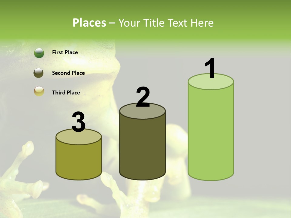 A Green Frog Sitting On Top Of A Leaf PowerPoint Template