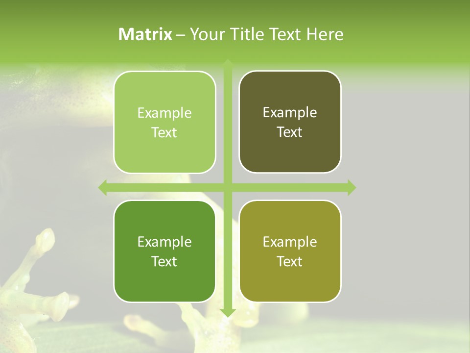 A Green Frog Sitting On Top Of A Leaf PowerPoint Template