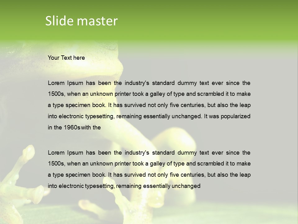 A Green Frog Sitting On Top Of A Leaf PowerPoint Template