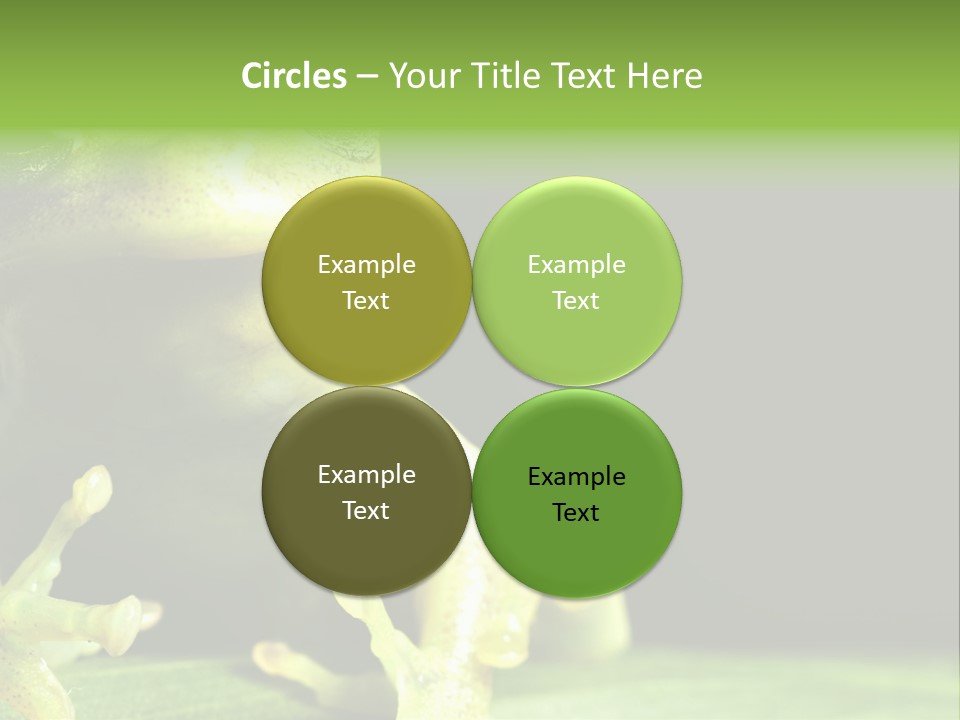 A Green Frog Sitting On Top Of A Leaf PowerPoint Template