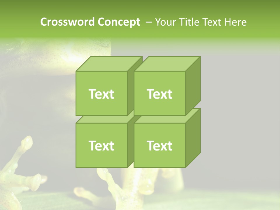 A Green Frog Sitting On Top Of A Leaf PowerPoint Template