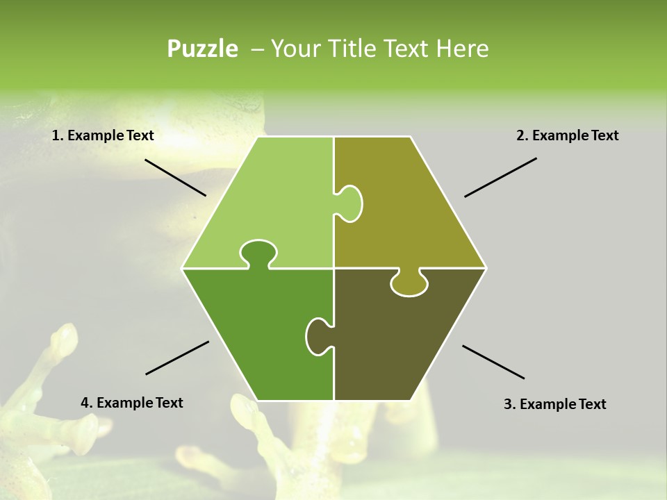 A Green Frog Sitting On Top Of A Leaf PowerPoint Template