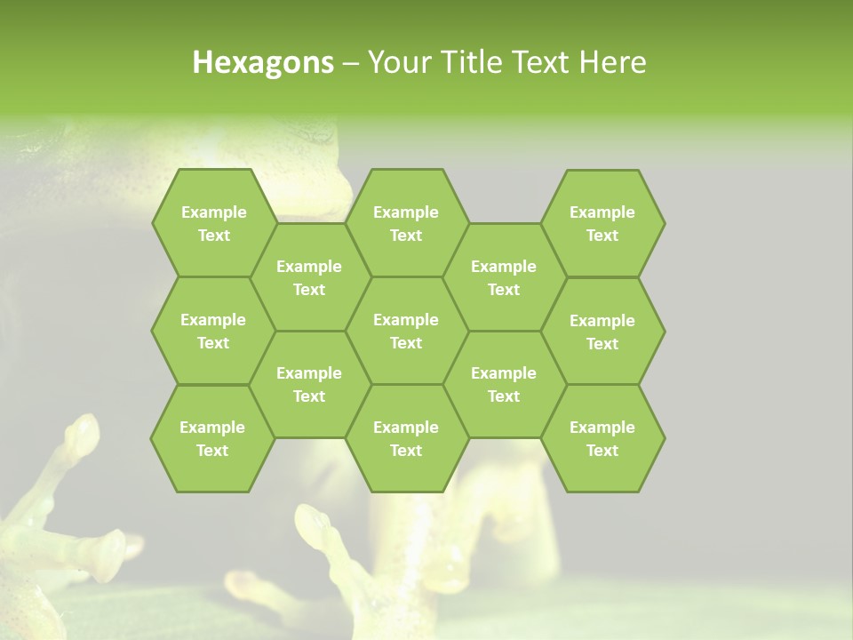 A Green Frog Sitting On Top Of A Leaf PowerPoint Template