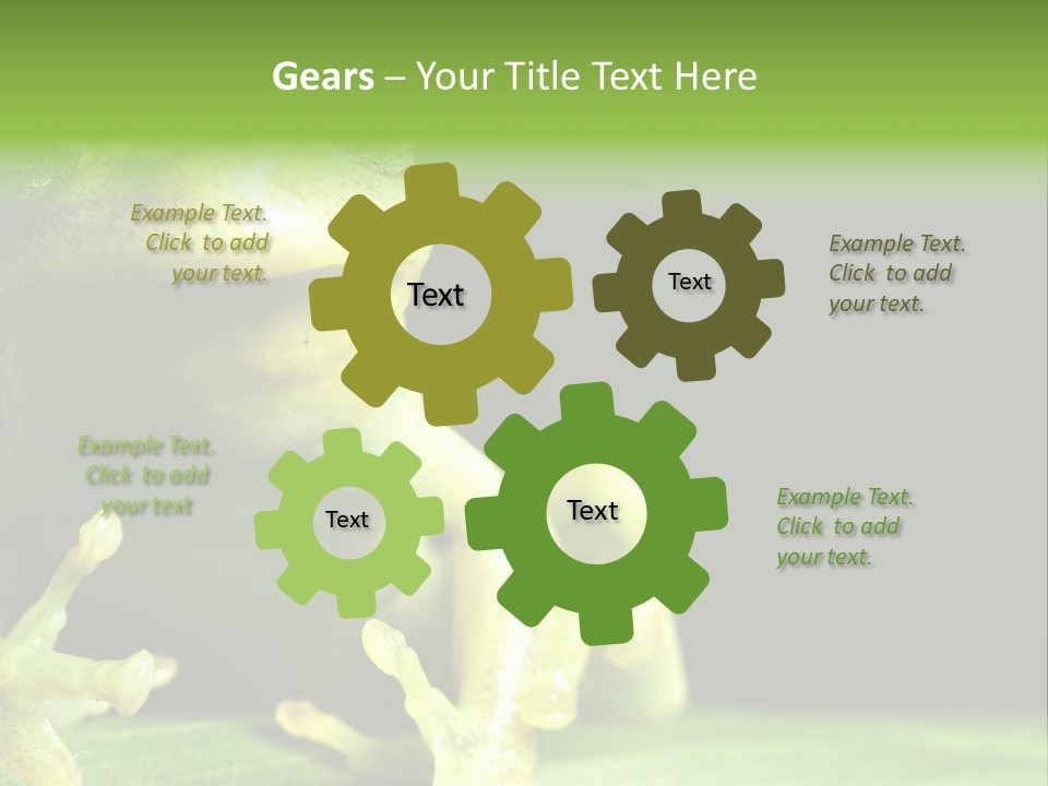 A Green Frog Sitting On Top Of A Leaf PowerPoint Template