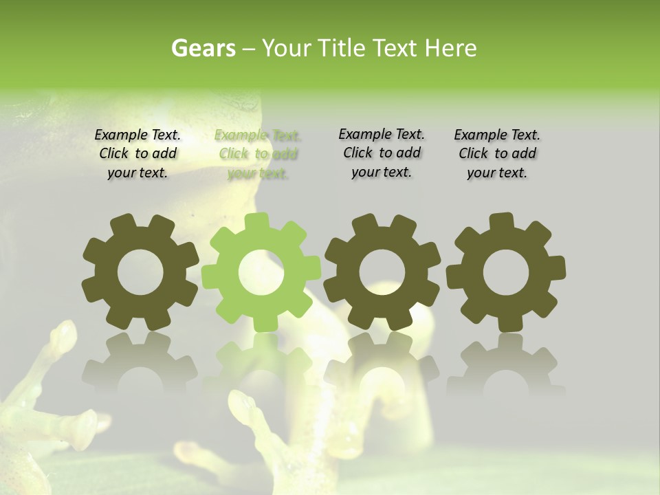 A Green Frog Sitting On Top Of A Leaf PowerPoint Template