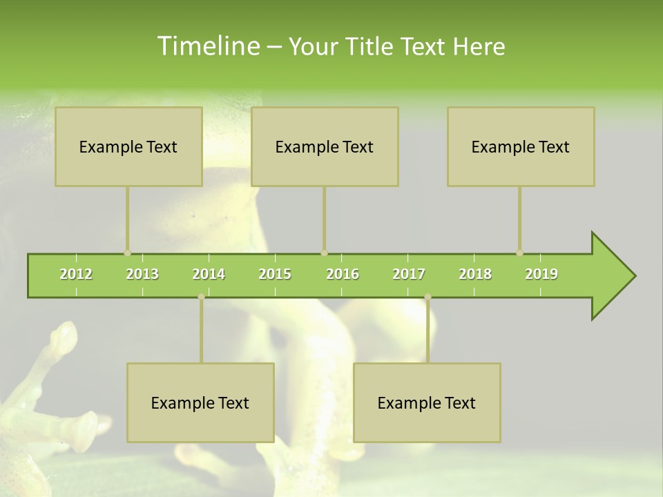 A Green Frog Sitting On Top Of A Leaf PowerPoint Template