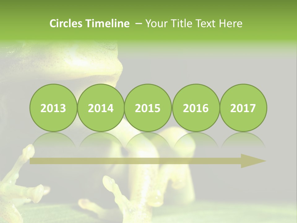 A Green Frog Sitting On Top Of A Leaf PowerPoint Template