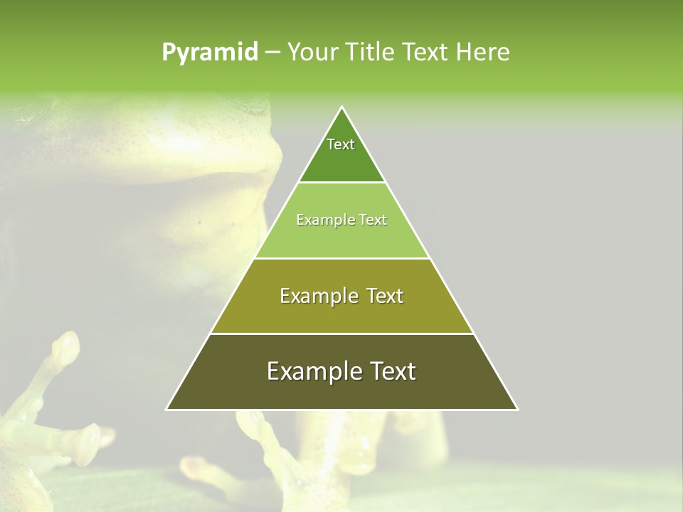 A Green Frog Sitting On Top Of A Leaf PowerPoint Template