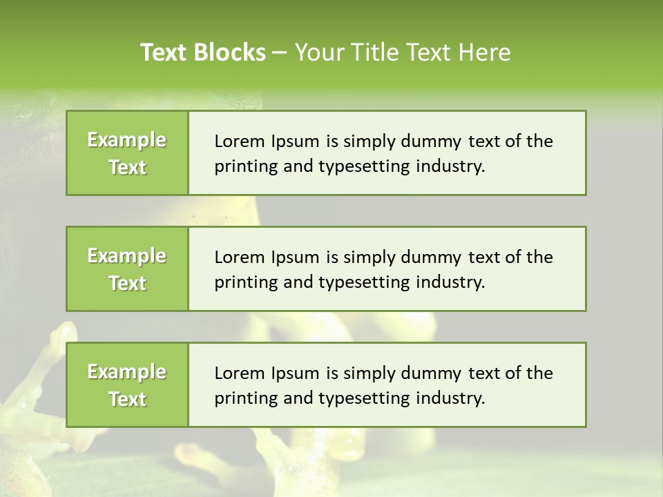 A Green Frog Sitting On Top Of A Leaf PowerPoint Template
