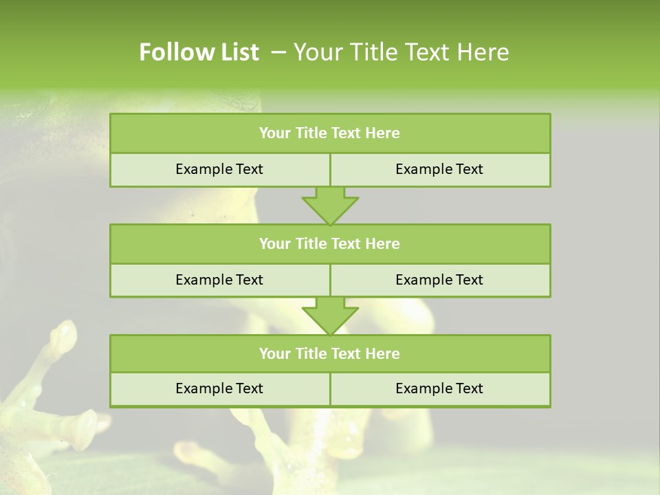 A Green Frog Sitting On Top Of A Leaf PowerPoint Template