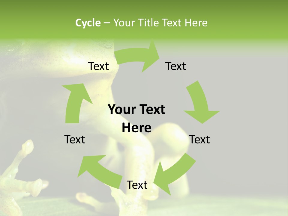 A Green Frog Sitting On Top Of A Leaf PowerPoint Template