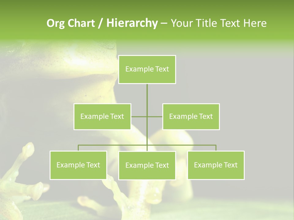 A Green Frog Sitting On Top Of A Leaf PowerPoint Template