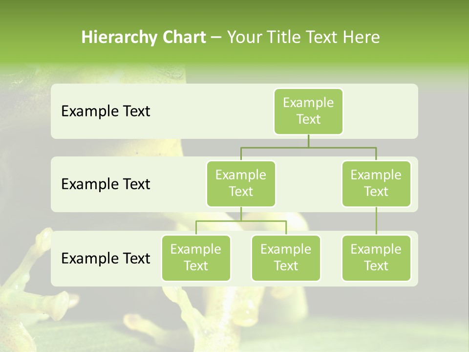 A Green Frog Sitting On Top Of A Leaf PowerPoint Template