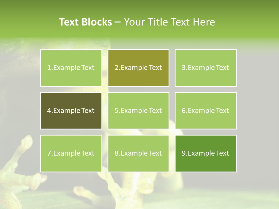 A Green Frog Sitting On Top Of A Leaf PowerPoint Template