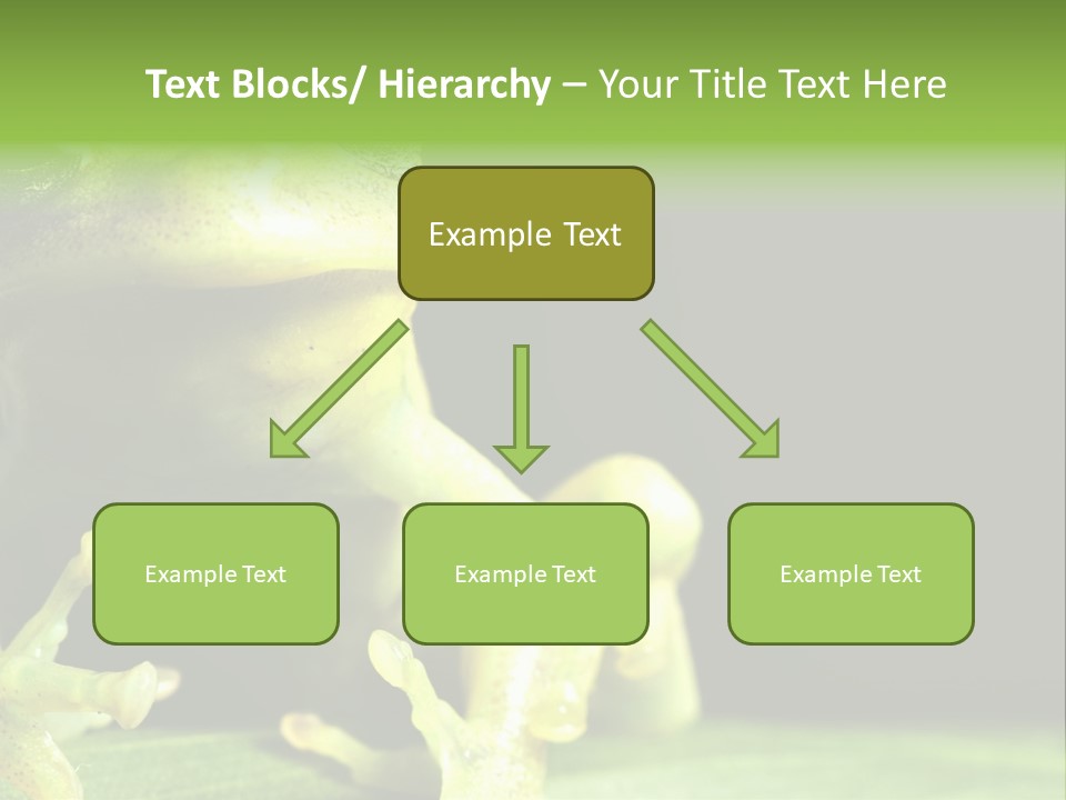 A Green Frog Sitting On Top Of A Leaf PowerPoint Template
